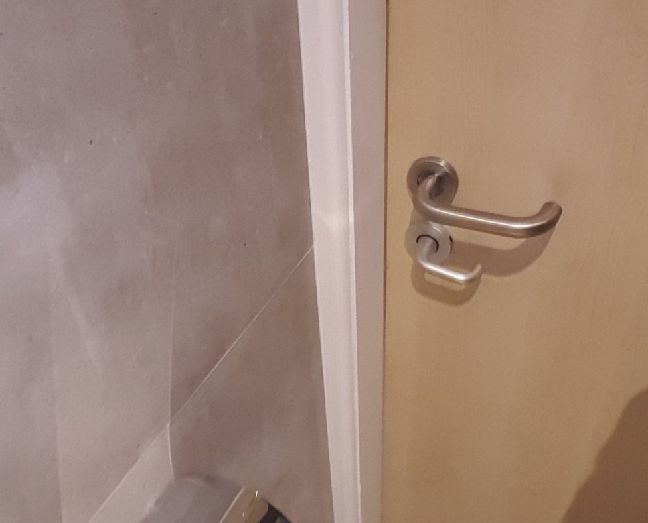 Image of broken door lock to toilet.