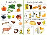 Click to visit page with more information on paleo diets for health.